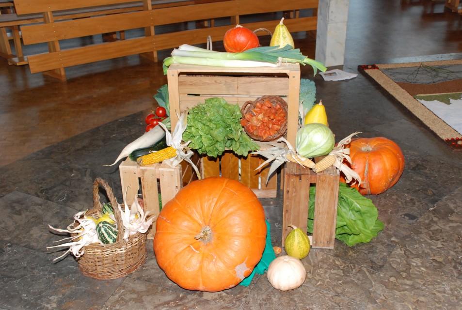 Wombach - Bild 7