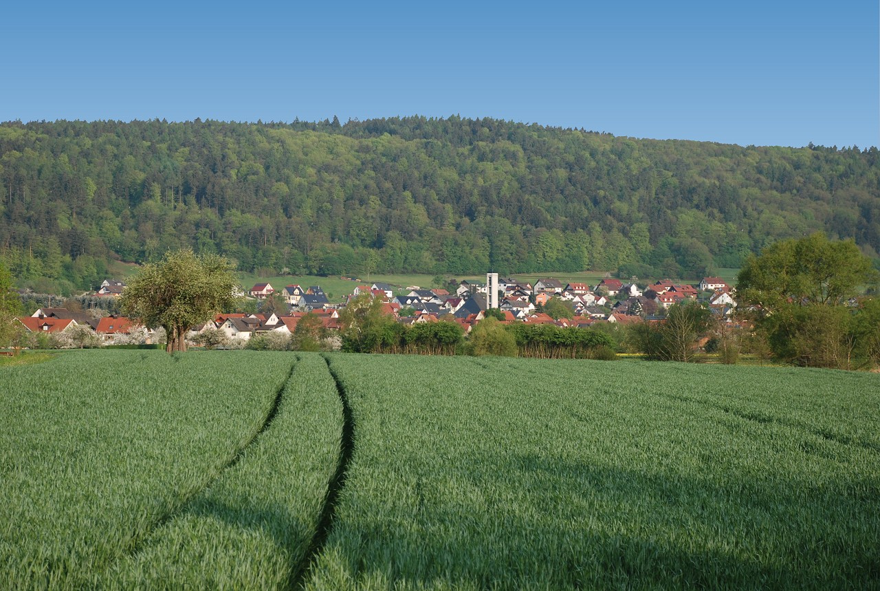 mein Wombach